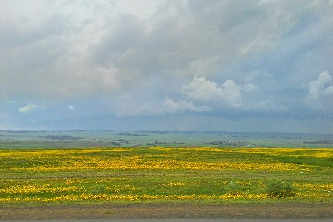 Explore the Ethiopian Rift Valley Lakes and the UNESCO Site of Steles of Tiya - Booking Information