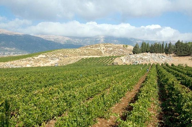 Fabulous Wine Tour to the Bekaa Valey Wineries - Directions