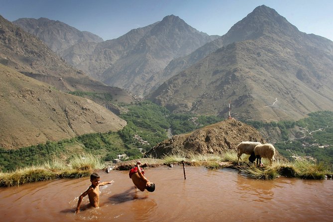 Family Day Tour From Marrakech Atlas Mountains & 3 Valleys With Camel Ride - Family-Friendly Activities