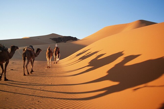 Fes 3 Days Desert Tour - Transportation Details