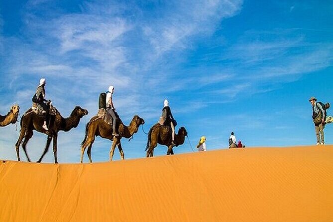 Fes - Marzouga - Marrakech : 2 Days 1 Night Desert Tour - Meeting & Pickup Details