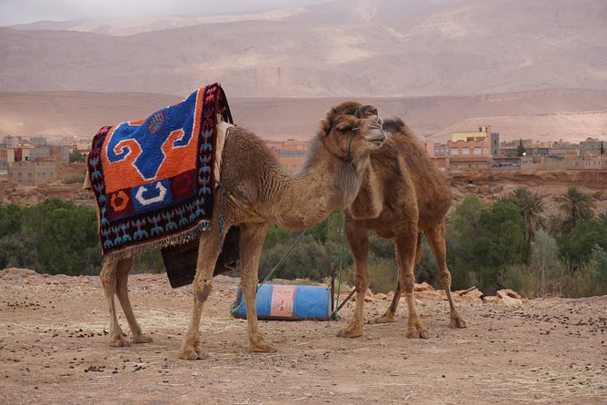 Fes to Marrakech Desert Tours - The Sum Up