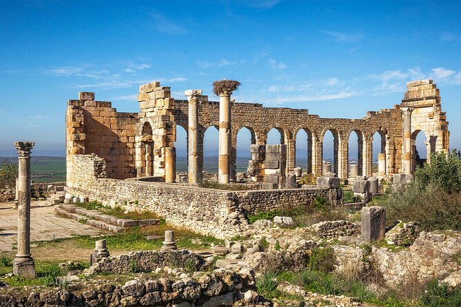Fes to Volubilis, Moulay Idriss and Meknes Private Day Trip - Customer Reviews