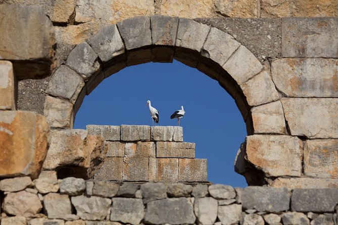 Fez to Meknes, Moulay Idriss & Volubilis Day Trip - Meeting and Pickup Information