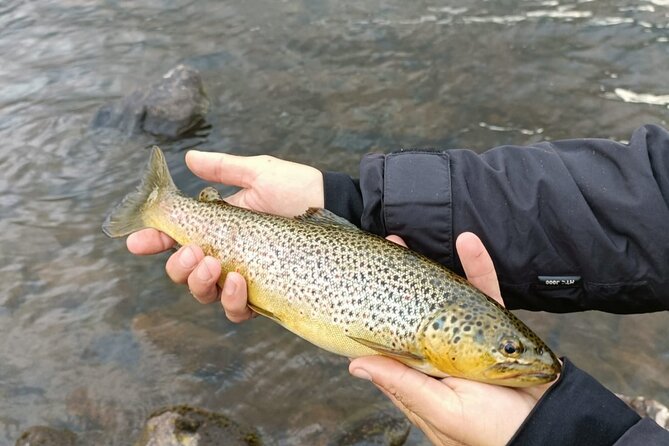 Fishing Adventure in Lapland - Frequently Asked Questions