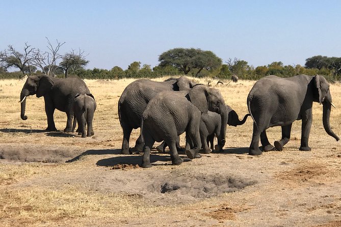 Five-Day Hwange NP, Chobe NP and Victoria Falls Combo - Transportation Details