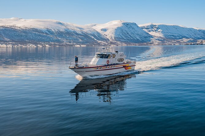 Fjord Safari in the Altafjord - Delight in a 2-Hour Boat Safari