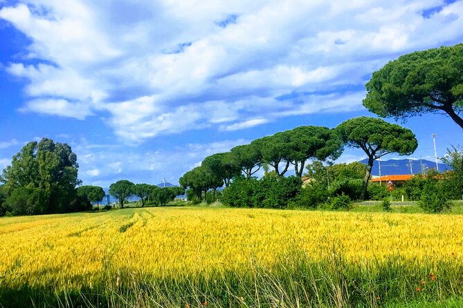 Following the Truffle Trail and Pisa Gastronomic Tour From Lucca - Frequently Asked Questions
