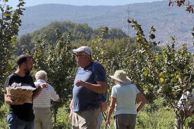 Food and Wine Tour From Taormina With Lunch in a Etna Winery - Culinary Experience