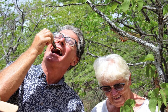 Foraging in Tswapong Forest Near Palapye - Directions to Segaigai Farm