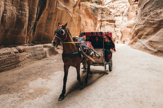 FROM AMMAN | Petra & Wadi Rum in One Day | the Jordanian Mappers - Booking