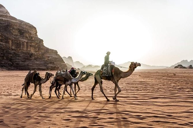 From Amman to Petra and Wadi Rum ( Private Two Days) - Important Reminders