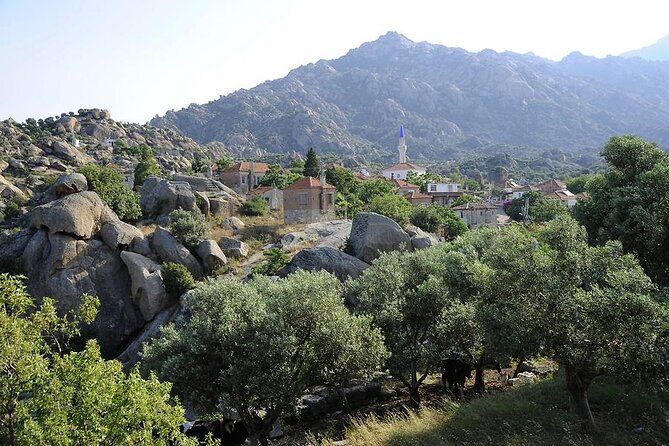 From Bodrum to Didyma, Priene, Miletus and Bafa Lake Private Full-Day Tour - Booking Process