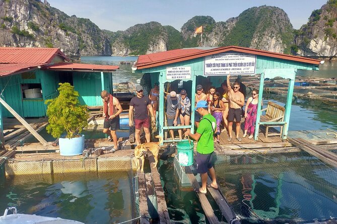 From Cat Ba Island: Full Day Boat Tour to Lan Ha Bay - Ha Long Bay - Cancellation Policy