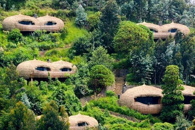 From Kigali: 2-Day Rwanda Gorilla Trekking Experience - Tour Guiding Service