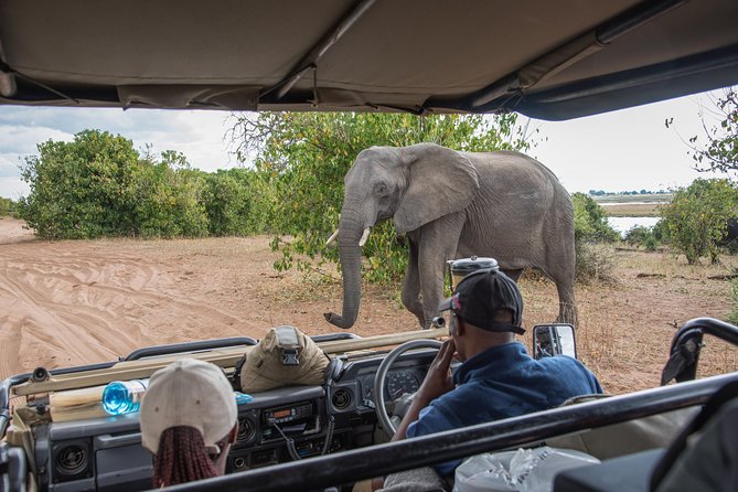 From Livingstone, Victoria Falls or Kasane - Chobe Day Tour - Pickup and Departure