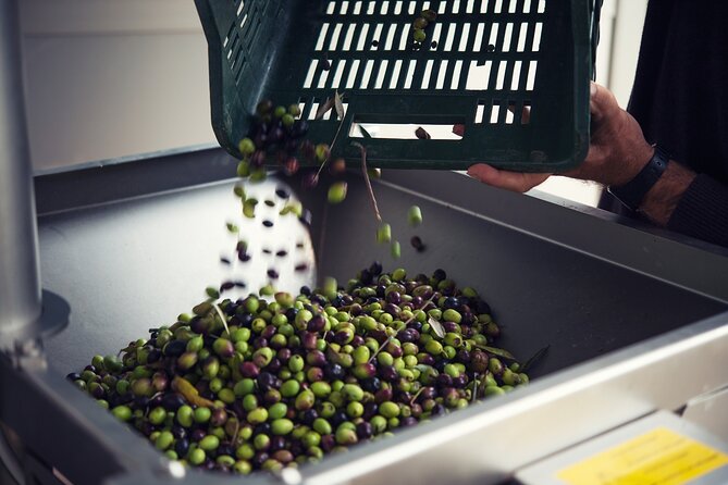 From Olives to Oil: Tasting With Lunch or Dinner - Google Maps