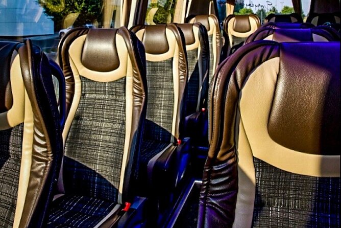 From Prague to Vienna - Private Transfer by MINIBUS Mercedes Sprinter 19+1pax - Additional Info