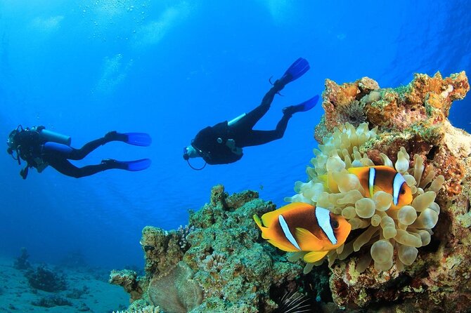 From Side, Alanya: Scuba Diving With 2 Time Dive & Lunch - Additional Info
