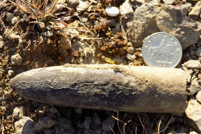 From Sofia: Walking Tour Over the Jurassic Sea - Inclusions and Meeting Details