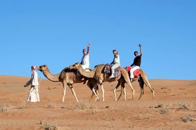 Full-Day Desert Safari Jeep Tour in Ash Sharqiyah Governorate - Pricing and Booking
