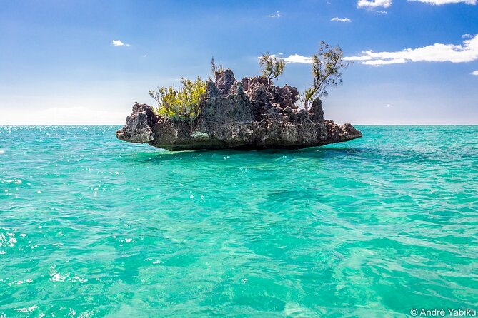 Full Day Dolphins Encounter Ile Aux Benitiers and Crystal Rock