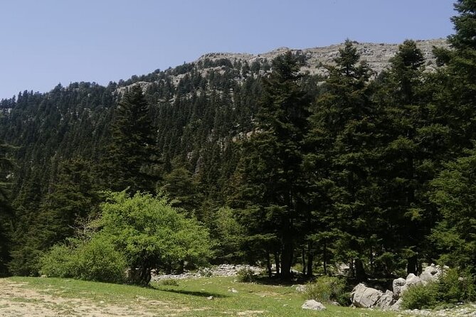Full Day Excursion to Mount Lakraa | Highest in Talassemtane Park (2159m) - Key Features