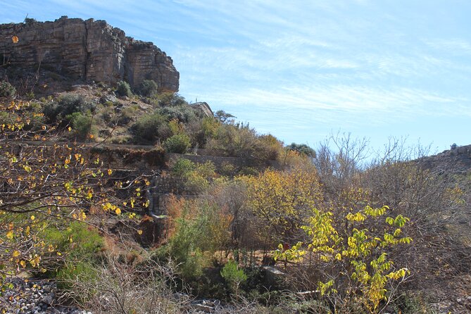 Full-Day Guided Tour to Jebel Akhdar - Customer Reviews