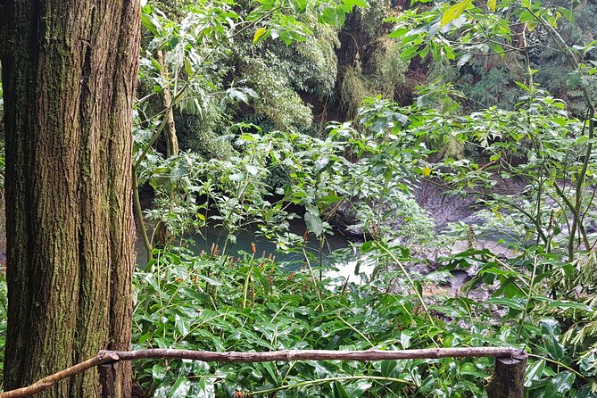 Full Day Hiking Trail Waterfalls- in Lomba De São Pedro - Azores - Cancellation Policy