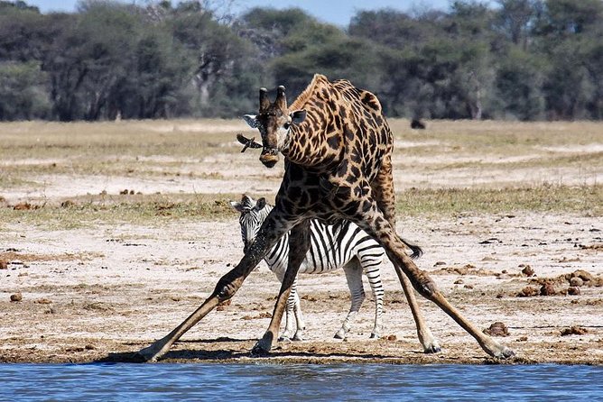 Full Day Hwange Day Trip - Inclusions and Exclusions