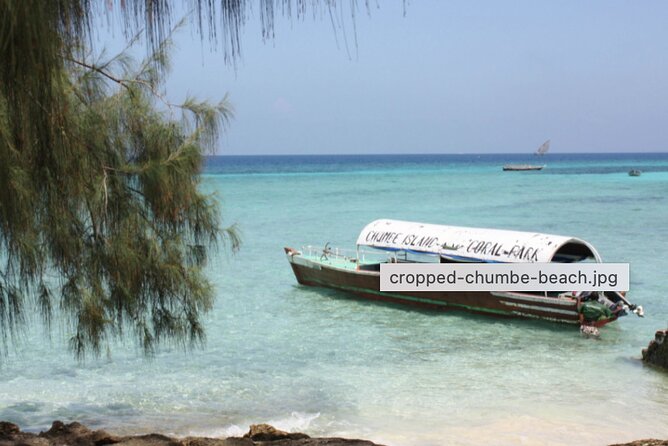 Full Day in the Protected Chumbe Island - Educational Visit to the Visitor Center