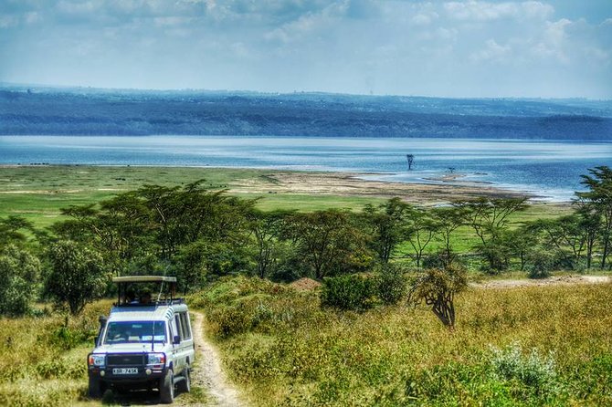 Full Day Lake Nakuru Park and Optional Boat Ride on Lake Naivasha - Additional Information