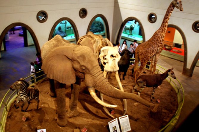 Full-Day Nairobi National Museum, Giraffe Centre and Nairobi National Park Tour - Reviews and Rating Summary