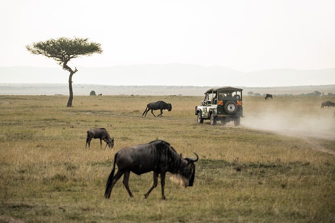 Full-Day Pilanesberg Nature Reserve and Sun City Tour From Johannesburg - Lowest Price Guarantee