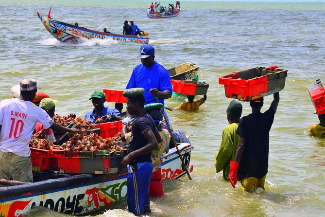 Full-Day PINK LAKE and FISHING VILLAGE Combination - Reviews and Ratings