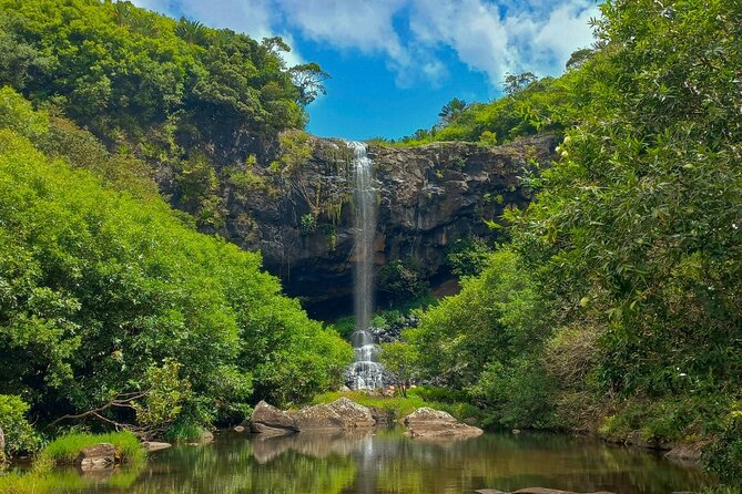 Full Day Private Guided Tour South of Mauritius - Booking Information