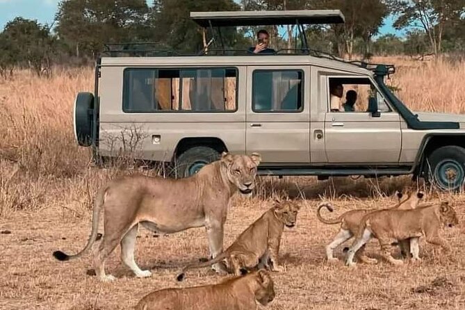 Full Day Private Safari Tour in Zanzibar to Mikumi - Additional Information