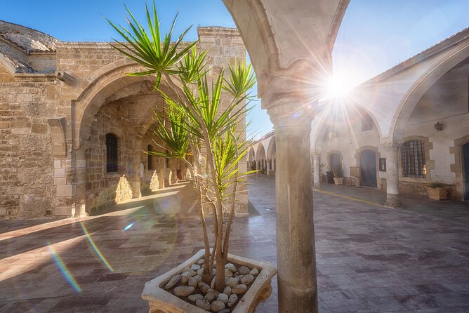Full Day Private Shore Tour in Larnaca From Ayia Napa Cruise Port - The Sum Up