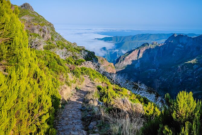 Full Day Private Shore Tour in Madeira From Funchal Cruise Port - Meeting, Pickup, and Directions