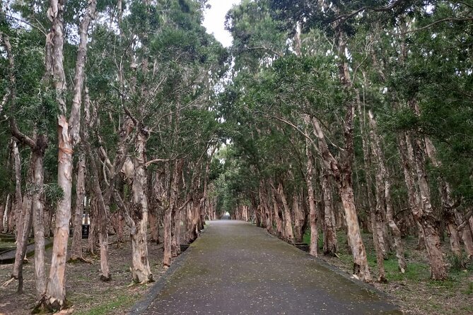 Full Day Private Tour in South of Mauritius - Logistics Issues Reported