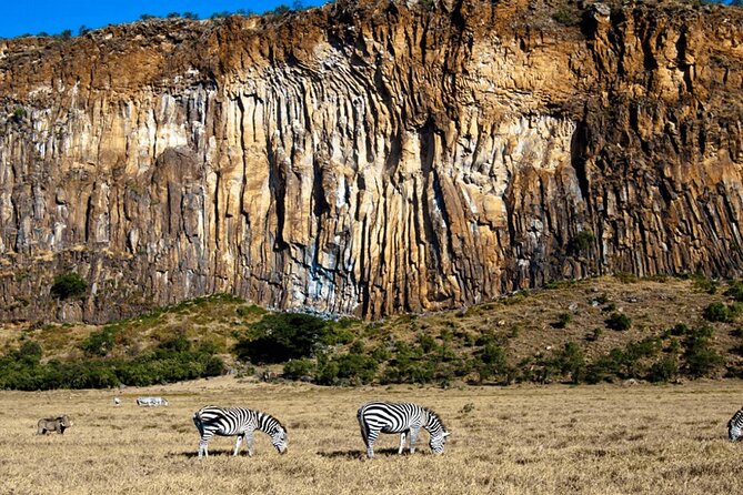 Full Day Private Tour to Hells Gate National Park From Nairobi. - Reviews