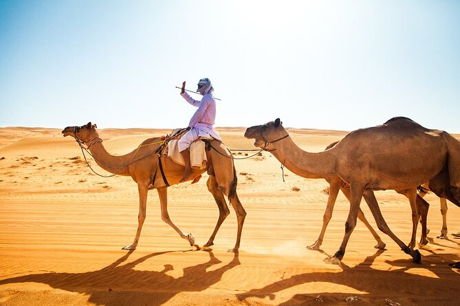 Full-Day Private Wahiba Sands Desert and Wadi Bani Khalid Tour - The Sum Up