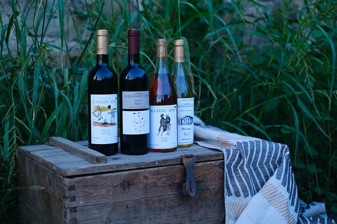 Full Day Private Wine Activity With Wine Cellar Tasting - The Sum Up