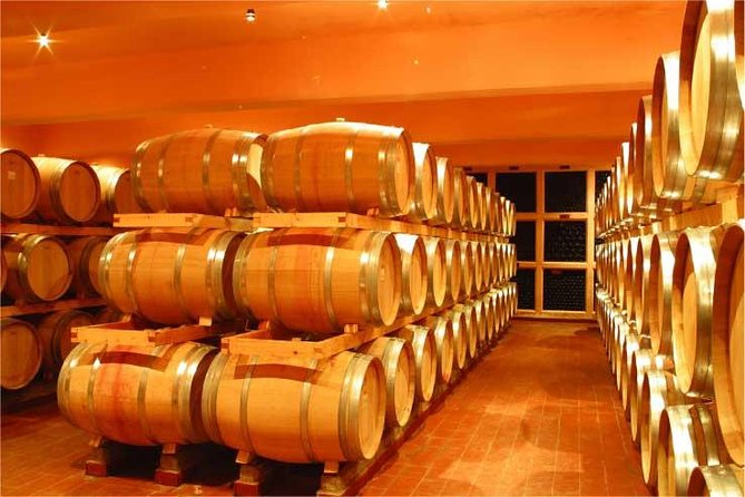Full-Day Private Wine Tasting Tour - Amenities and Inclusions