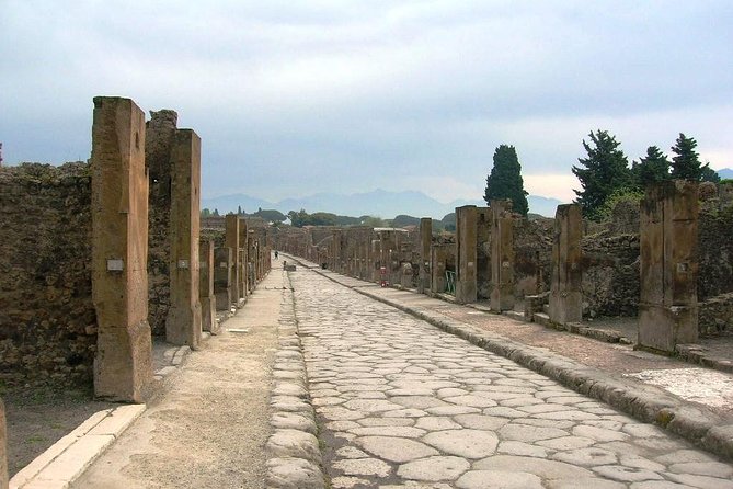 Full Day Rome to Pompei Skip the Line Tickets&Guide, Sorrento. - Additional Information