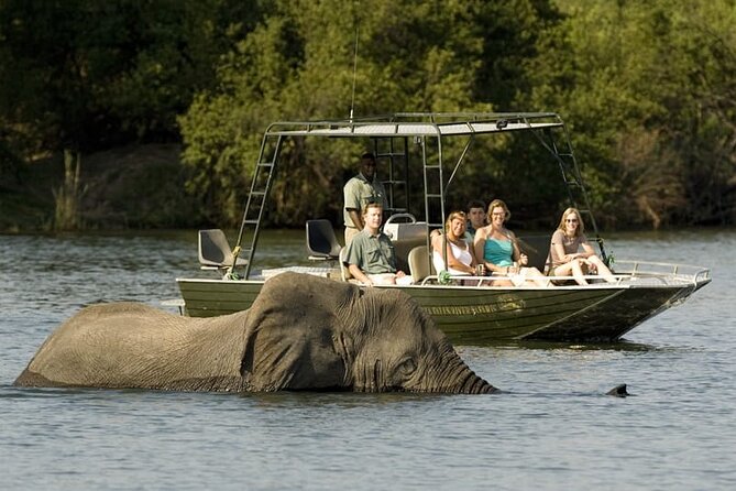 Full-day Safari Tour in Chobe - Customer Reviews