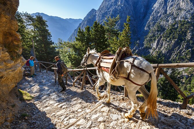 Full-Day Samaria Gorge Hiking Tour From Chania - Frequently Asked Questions