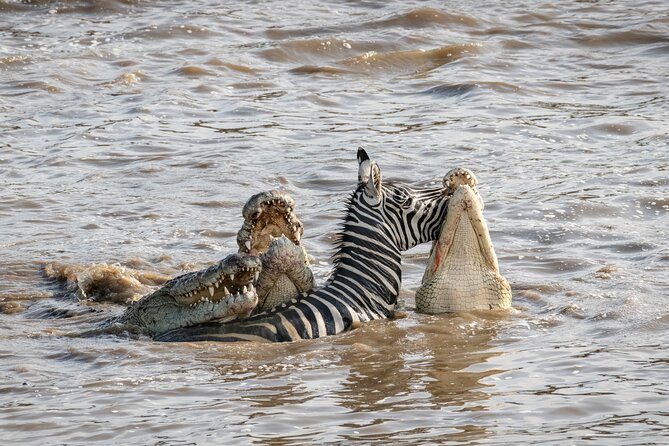 Full Day Serenity Adventure in Tarangire National Park - The Sum Up