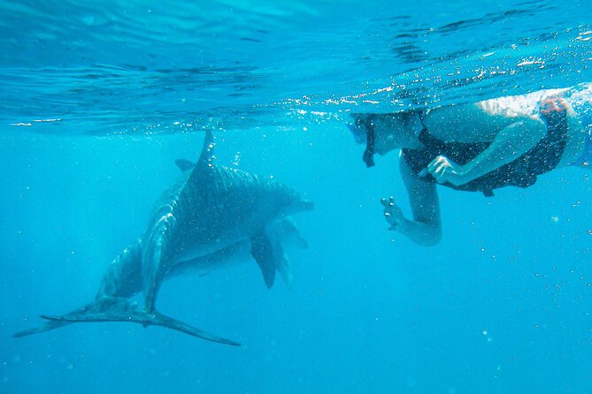 Full-Day Special Wasini Island Tour With Snorkeling and Lunch - Directions to Wasini Island
