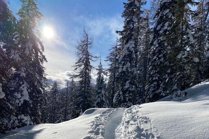 Full Day Tour in Dolomites From Venice - Directions and Pricing